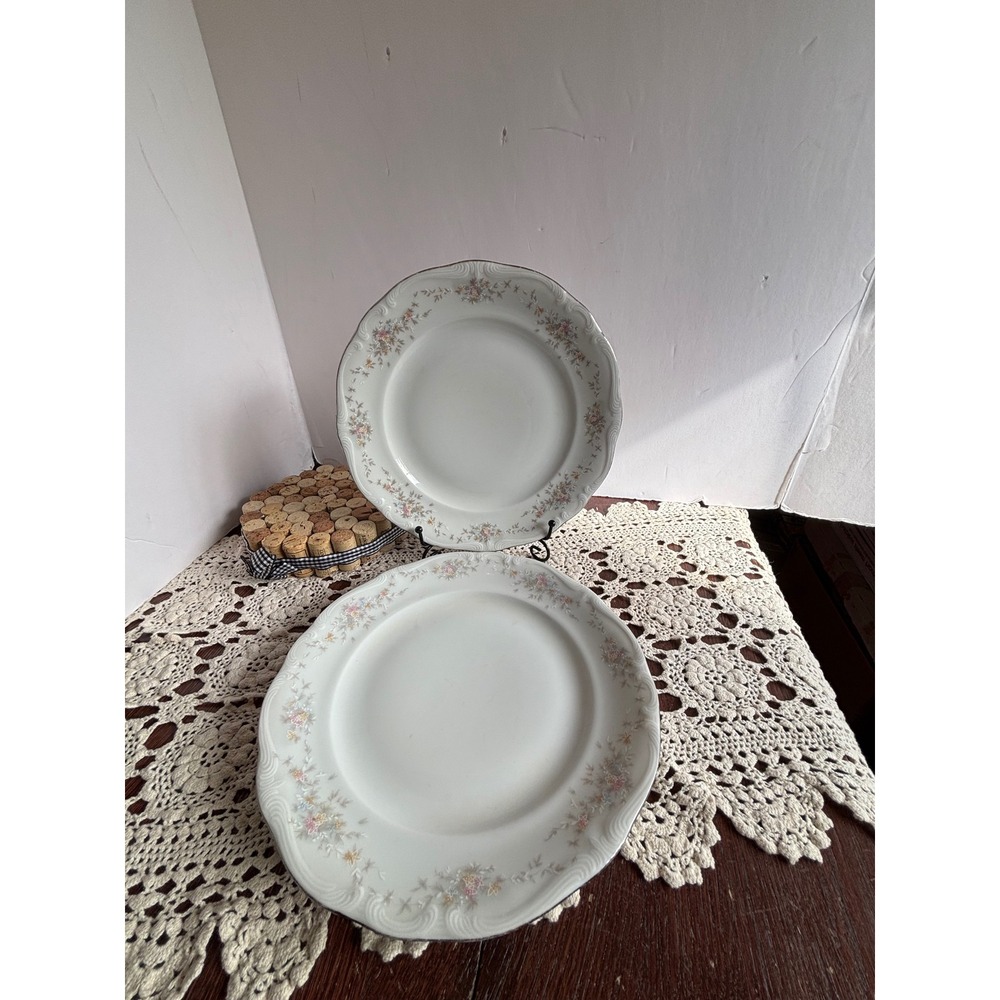 Johann Haviland Bavaria Germany Floral Dinner Plates‎ Set of 2 Scalloped 10 inch